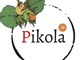 Pikola 28 Fındık Atölyesi