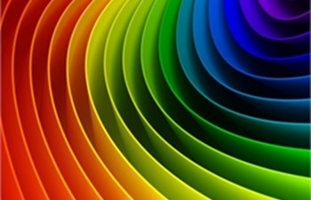 PRO Firma Örnek Sayfası